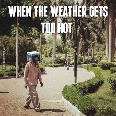 42 Hot Weather Memes That'll Help You Cool Down - SayingImages.com