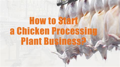 How to Start a Chicken Processing Plant Business? | Eruis