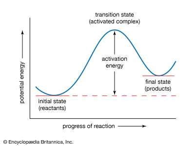 Potential energy curve | Britannica.com