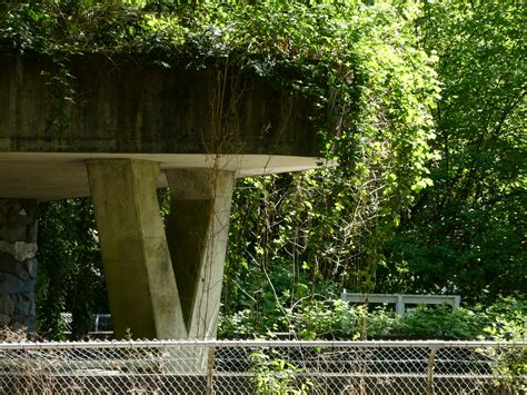 Polar Bear Exhibit-discontinued | Stanley Park, Vancouver | Flickr