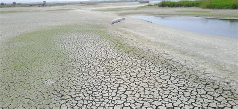 Euphrates River Dry Due to Turkey’s Brutal Occupation, Withholding Water – Syrian Democratic Times