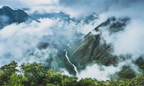 Geo Explainer: Cloud Forests - Geographical