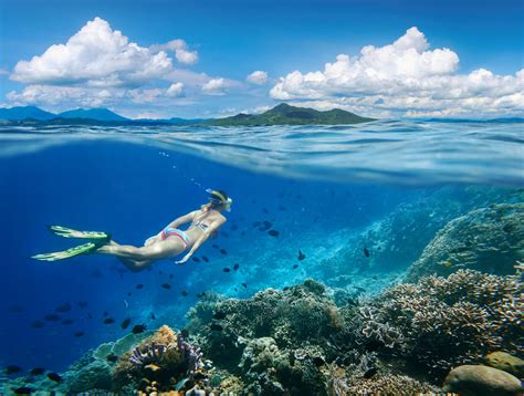 Best Snorkeling in the Caribbean - 11 Best Spots - Epic Caribbean