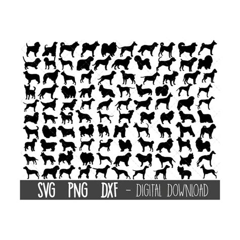 Dog breed SVG silhouette bundle, dog breed svg, dog silhouet - Inspire ...