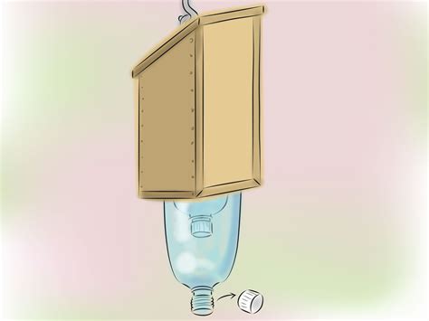 How to Build a Carpenter Bee Trap: 12 Steps (with Pictures)