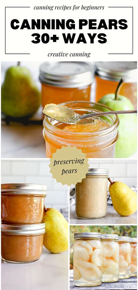 30+ Pear Canning Recipes: Fruit Preserves | Canning recipes, Pear ...