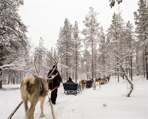 Experience Genuine Lapland Winter In Inari Finland - Adventure Family Travel - Wandering Wagars