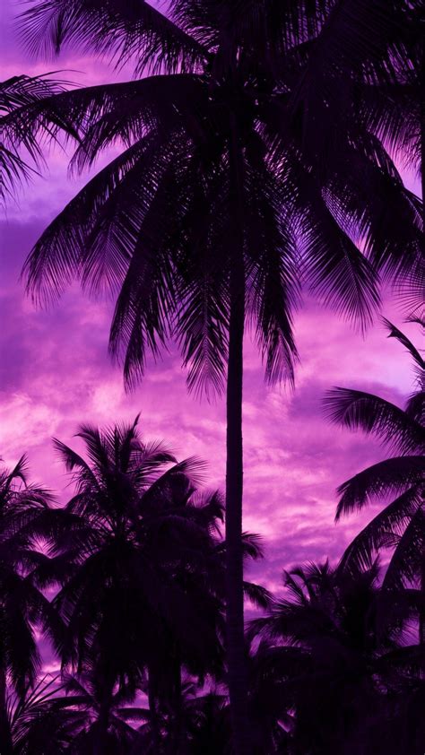 Neon Palm Tree Wallpapers - Top Free Neon Palm Tree Backgrounds - WallpaperAccess