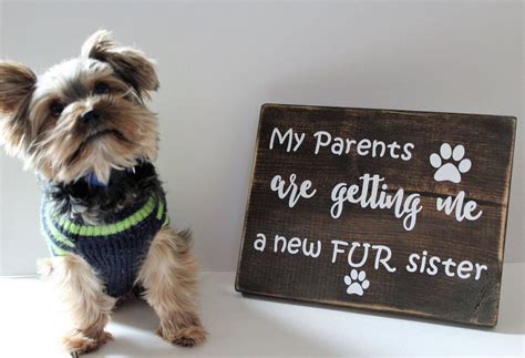 New Puppy Announcement Custom Puppy Annoucement New