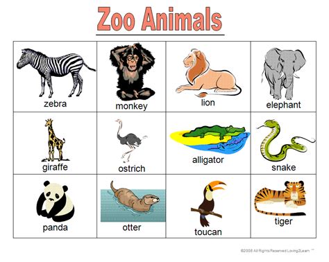 Zoo Animal Games, Books, Word Cards, and Learning Videos