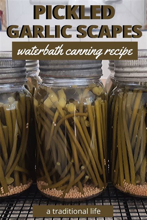 Learn to make pickle garlic scapes in the waterbath canner Home Canning Recipes, Canning Tips ...