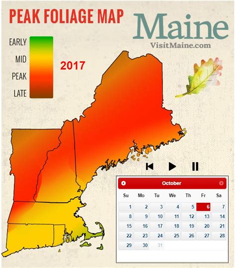 2017 New England Fall Foliage Forecast | Fall foliage map, Foliage map, New england fall foliage