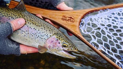 Cast a Line and Experience the Best of Montana Fly Fishing - The Wilson Hotel