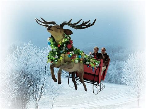 Magical Winter Sleigh Ride - Corel Discovery Center