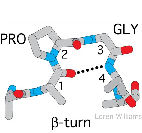 Rani Winda Paramuditha: STRUKTUR PROTEIN