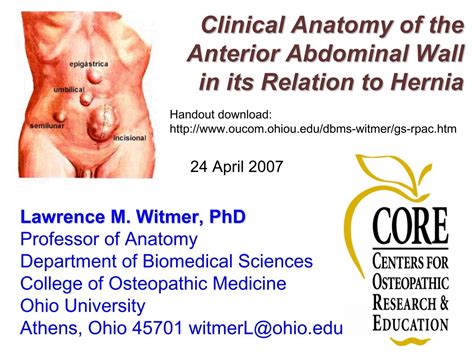 Clinical anatomy of the anterior abdominal wall in its relation to hernia.