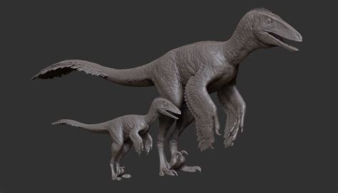 Image - Juvenile Dakotaraptor Model The Isle.png | The Isle Wiki | FANDOM powered by Wikia