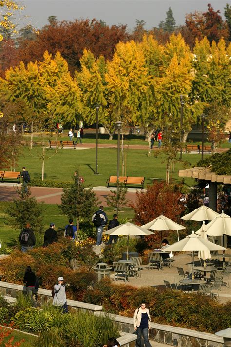 Fall is beautifully showcased at Turlock's CSU Stanislaus Campus | Travel fun, University of ...