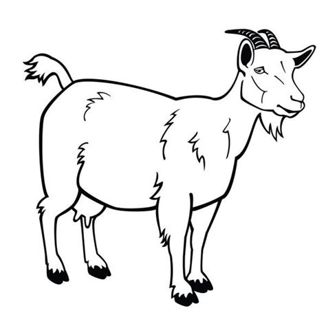 ᐈ Goat black and white stock pictures, Royalty Free goat illustrations ...