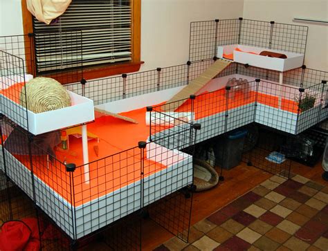 Home – Everyday Pet Cages