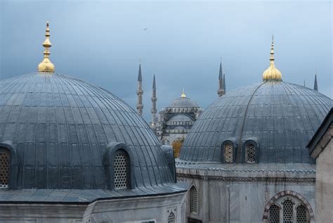 Blue Mosque from Hagia Sophia, Istanbul | Blue mosque, Hagia sophia, Mosque