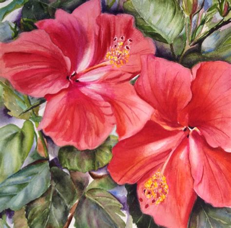 Hibiscus | Hibiscus, Watercolor, Plants