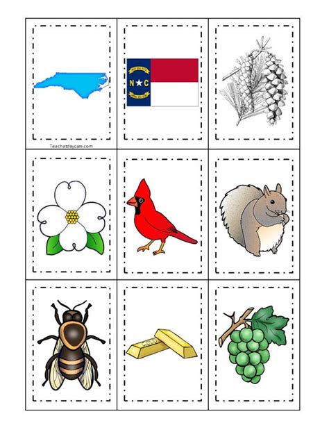 30 North Carolina State Symbols Themed Learning Games - Etsy