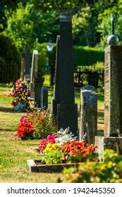 21,540 Cemetery Plant Images, Stock Photos & Vectors | Shutterstock