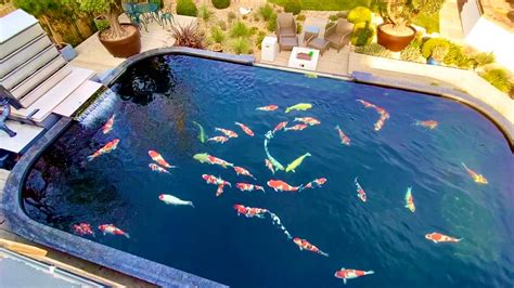 Is this Worlds MOST BEAUTIFUL private KOI POND? 20,000gallon - YouTube