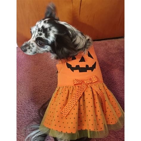 Dog Pumpkin Dress/dog Pumpkin Costume - Etsy