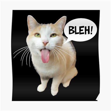 "Funny Bleh P Cat Meme Face (Not Doing That Cat)" Poster for Sale by fomodesigns | Redbubble