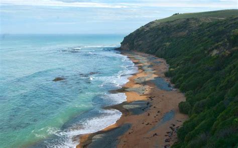 25+ Best Beaches in South Island // New Zealand // World Beach Guide