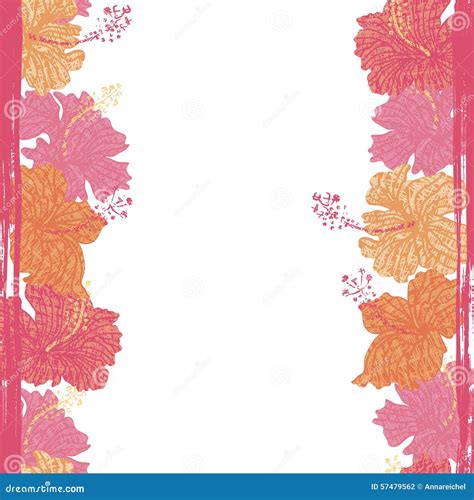 Hibiscus Flowers Seamless Border Stock Vector - Image: 57479562