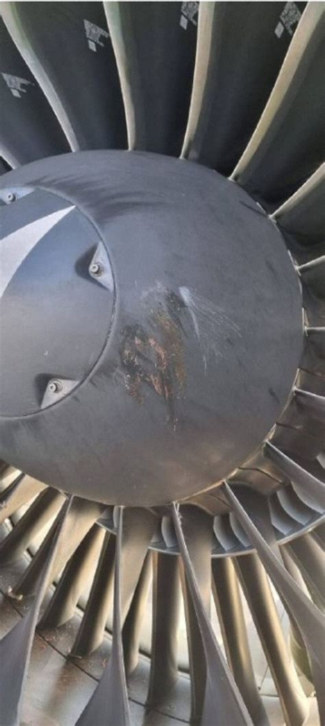 Incident: Astana A21N at Istanbul and Almaty on Aug 23rd 2022, bird strike