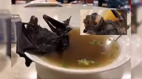 Video of Chinese Woman Munching on Cooked Bat Has Given Twitter a ...