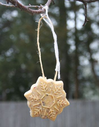 Suet molds | Winter | Pinterest | The Birds, Birds and Barefoot