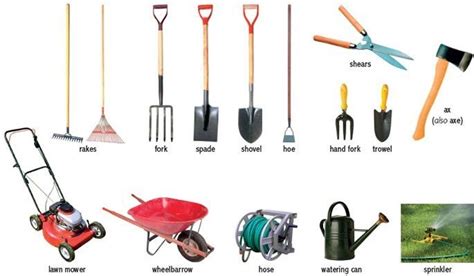 8 Photos Names Of Garden Tools And Equipments And View - Alqu Blog