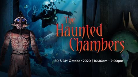 The Haunted Chambers @ The Lost Chambers Aquarium Atlantis, The Palm | Tickikids Dubai