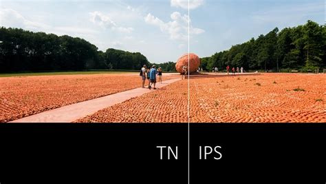 TN Panel vs IPS: a Comparison • PresentationPoint