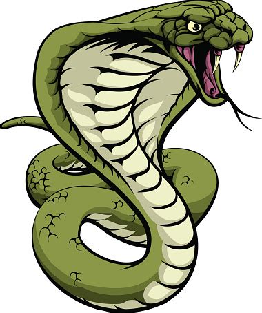 Cobra Snake Art - ClipArt Best