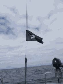 Pirate Flag GIF - PirateFlag Pirates - Discover & Share GIFs