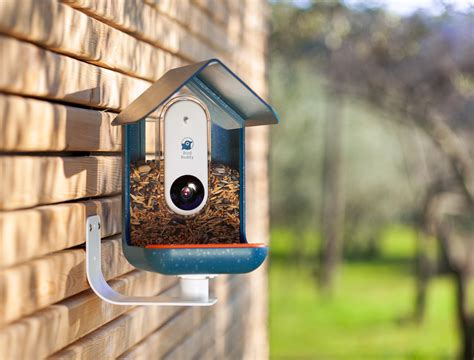 Bird Buddy Smart Bird Feeder | The Coolector