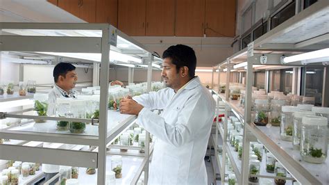 Plant Tissue Culture and Elite Planting Material Laboratory – Uttarakhand Biotechnology Council