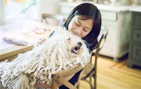 Priscilla Chan Family - Husband, Daughter, Parents, Sisters, Bio ...