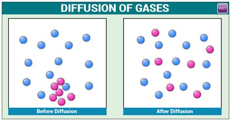 Diffusion of Gases : Important Concepts, Formulas and Examples