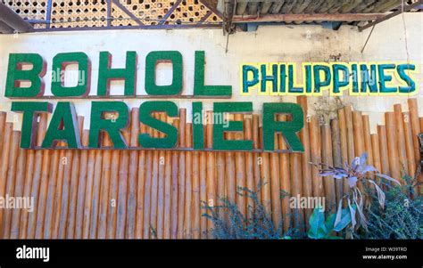 Bohol, Philippines - June 22, 2018: Bohol Tarsier Conservation Area ...