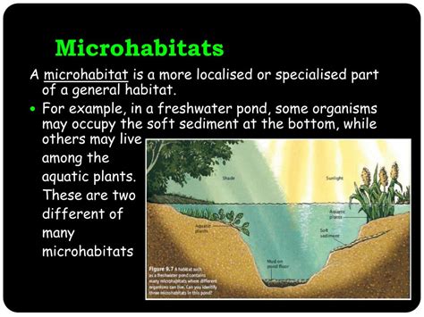 PPT - Habitats and Environment PowerPoint Presentation, free download ...