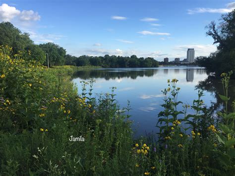 Silver Lake Rochester , Minnesota Rochester Minnesota, Silver Lake, Nice View, River, Views ...