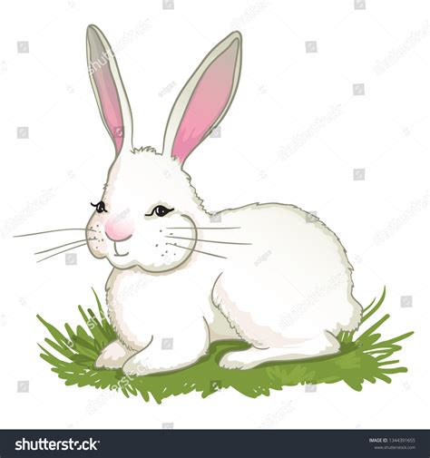 Illustration Cute Cartoon White Rabbit Grass Stock Vector (Royalty Free ...