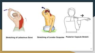 Scapulohumeral rhythm and exercises | PPT